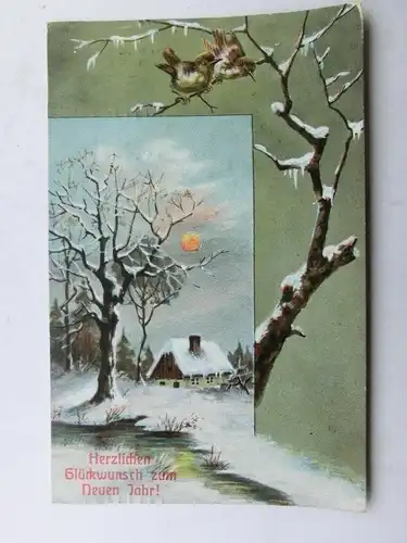Alte AK Grußkarte Neujahr Vögel Haus Bäume um 1920 [aX939]
