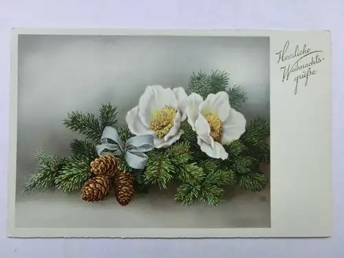 Alte AK Grußkarte Weihnacht Christrose Tannenzweig [aX944]