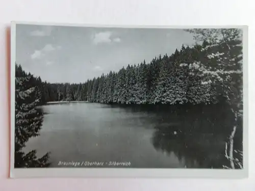 Alte AK Braunlage Oberharz Silberteich [aN740]