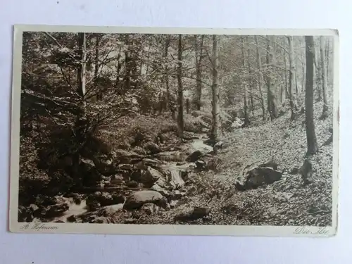 Alte AK Die Ilse Harz A. Hofmann [aO1294]