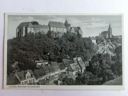 Alte AK Leisnig Schloß Mildenstein [aO1268]