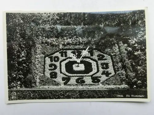 Alte AK Zittau Blumenuhr [aX877]
