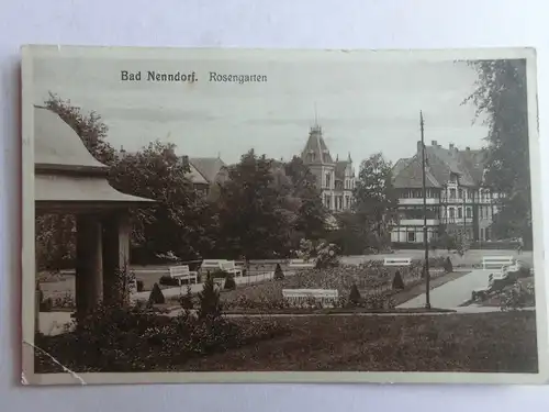 Alte AK Bad Nenndorf Rosengarten 1930 [aO1151]