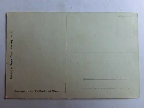 Alte AK Münden Lüneburger Heide Wacholder  [aO1185]