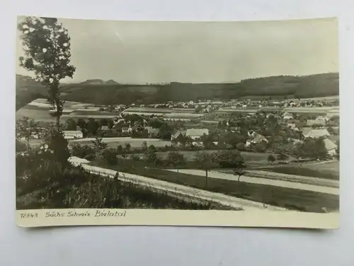 Alte AK Bielatal Sächsische Schweiz [aX827]