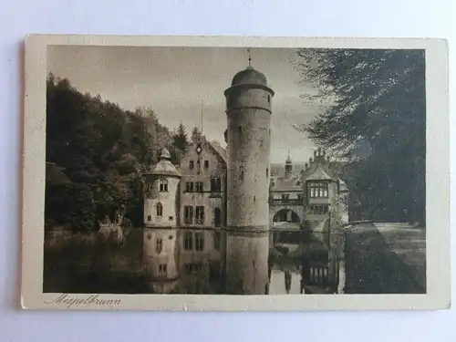 Alte AK Schloß Mespelbrunn Spessart [aX628]