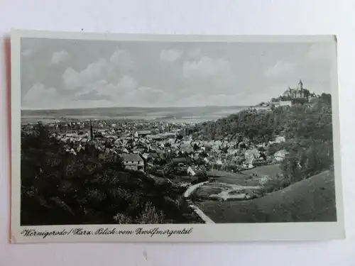 Alte AK Wernigerode Bl. v. Zwölfmorgental [aN718]