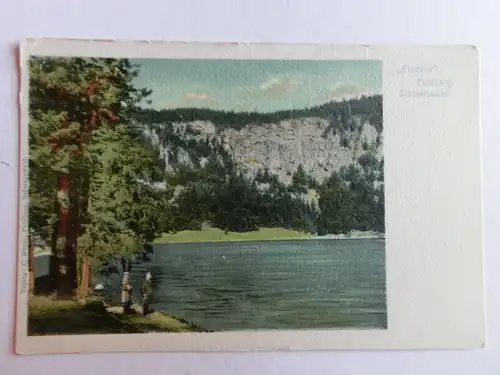 Alte AK Feldberg Schwarzwald Feldsee um 1920 [aN727]