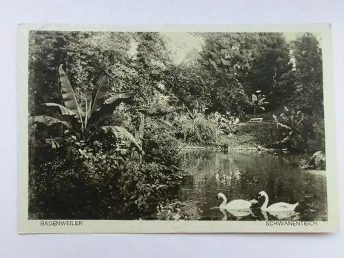 Alte AK Badenweiler Schwanenteich 1928 [aX371]