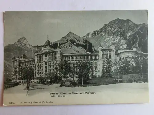 Alte AK Caux sur Territet Palace Hotel [aM832]