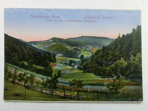 Alte AK Teutoburger Wald Lippische Schweiz [C846]