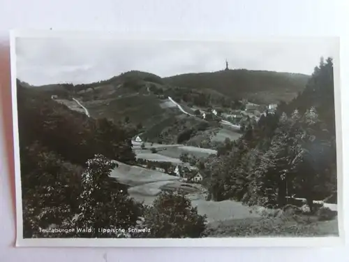 Alte AK Teutoburger Wald Lippische Schweiz [C863]