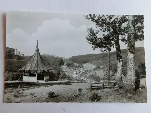 Alte AK Bad Grund Harz Bl. v. Eichelberg [C898]