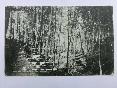 Alte AK Heiligenberg Reiherholzschlucht (berieben) [C811]