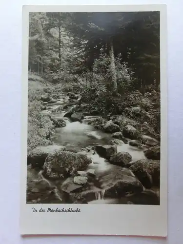 Alte AK Bad Liebenzell Monbachschlucht [1263]