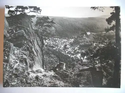 Alte AK Schwarzburg Thüringen Blick vom Trippstein [U401]