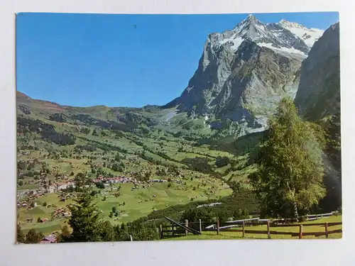 Alte AK Grindelwald mit Wetterhorn [aN773]