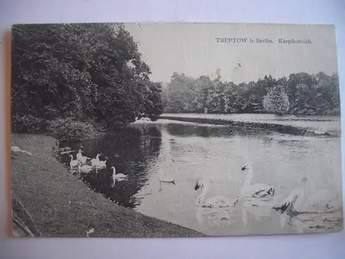 Alte AK Berlin Treptow Karpfenteich 1909 [P330]