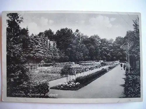 Alte AK Chemnitz Rosarium im Stadtpark (Rosengarten) [P221]