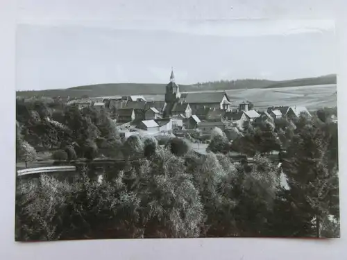 Alte AK Benneckenstein Blick a. Gondelteich [aO1543]