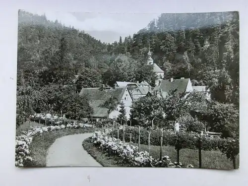 Alte AK Oybin Kurpark [aO1458]