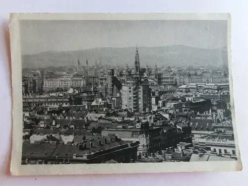 Alte AK Wien Panorama [aE908]