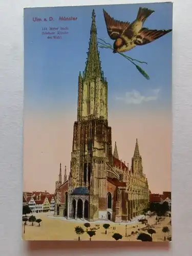 Alte AK Ulm Münster Ulmer Spatz [aE835]