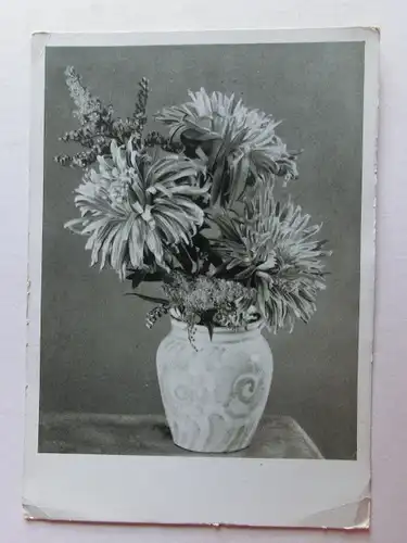 Alte AK Grußkarte Chrysanthemen Vase [aN183]