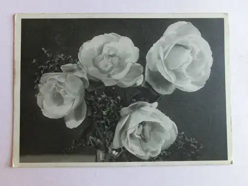Alte AK Grußkarte Blumen [aN202]