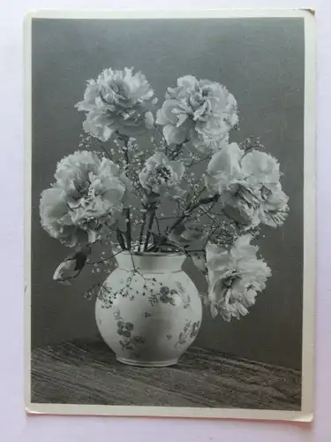 Alte AK Grußkarte Nelken in Vase [aN207]