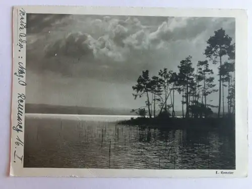 Alte AK Naturfotografie L. Kemeter Schneiderkarte Markersdorf [aN226]