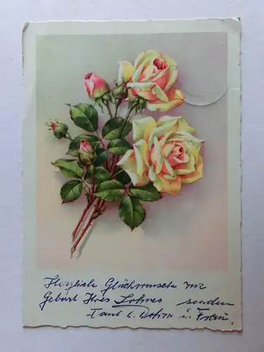 Alte AK Grußkarte Rosen Rose Büsum Dohrns Rosenhof [aN200]
