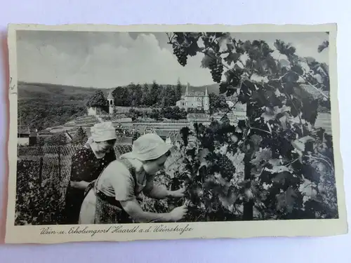 Alte AK Haardt an der Weinstraße Weinlese Wein Trauben [aL46]