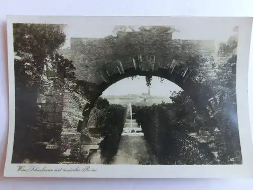 Alte AK Wien Schönbrunn Römische Ruine [aL163]