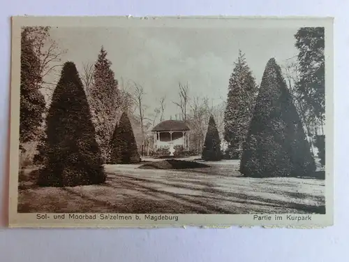 Alte AK Salzelmen Partie im Kurpark [aM869]