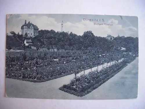 Alte AK Chemnitz Stadtpark Rosarium Rosengarten  1909 [T315]