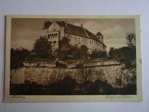 Alte AK Nürnberg Burg von Westen [aG807]