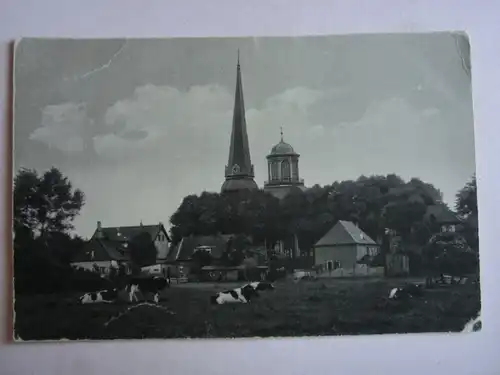 Alte AK Rellingen Pinneberg Kirche Kühe  [aG819]
