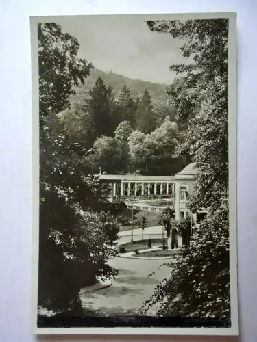 Alte AK Schlangenbad [aG898]