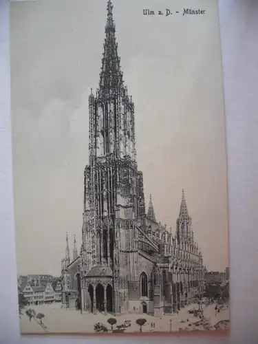 Alte AK Ulm Donau Münster um 1920 [aG25]