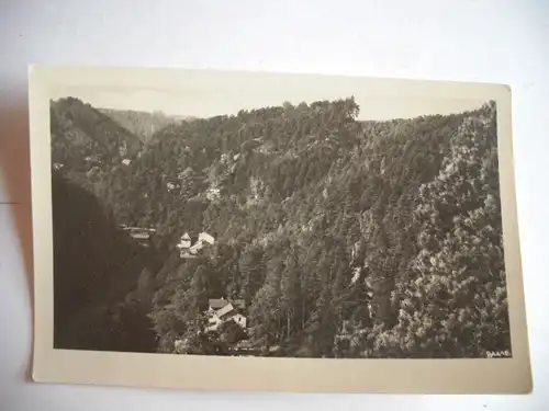 Alte AK Bad Schandau Kirnitzschtal Gaststätte [aG110]