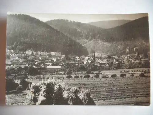 Alte AK Friedrichroda Thüringer Wald [aG113]
