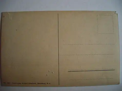 Alte AK Neuhaus Rennwege Wächtersteich um 1920 [E1024]