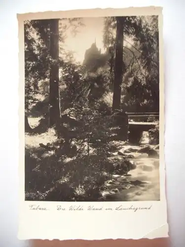 Alte AK Tabarz Die wilde Wand Lauchagrund [E175]
