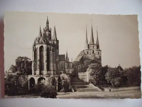 Alte AK Erfurt Dom u. St. Severiekirche [E199]