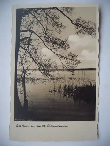 Alte AK Bad Saarow Scharmützelsee [aD329]