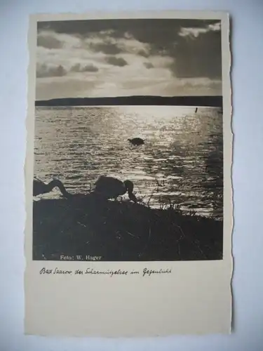 Alte AK Bad Saarow Scharmützelsee [aD330]