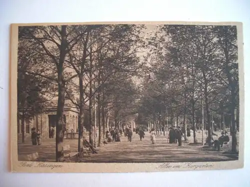 Alte AK Bad Kissingen Allee im Kurgarten [E1069]