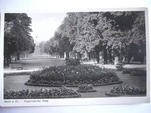 Alte AK Bon Poppelsdorfer Allee  [E562]