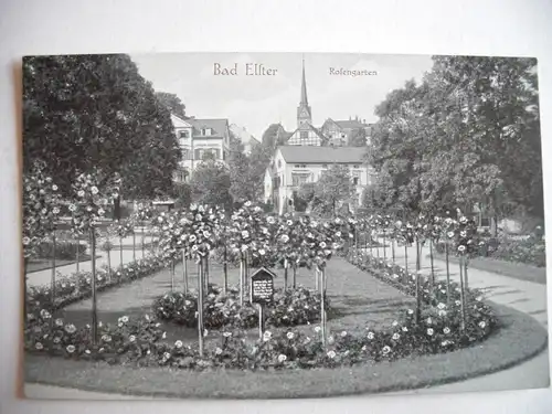 Alte AK Bad Elster Rosengarten [E45]